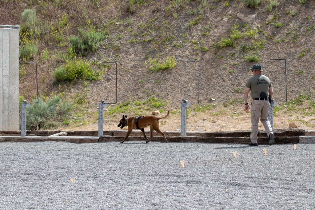 Trooper Elmer and K9 Rocco participate in a K9 detection exercise - K9 Rocco sniffs and Trooper Elmer walks behind him.
