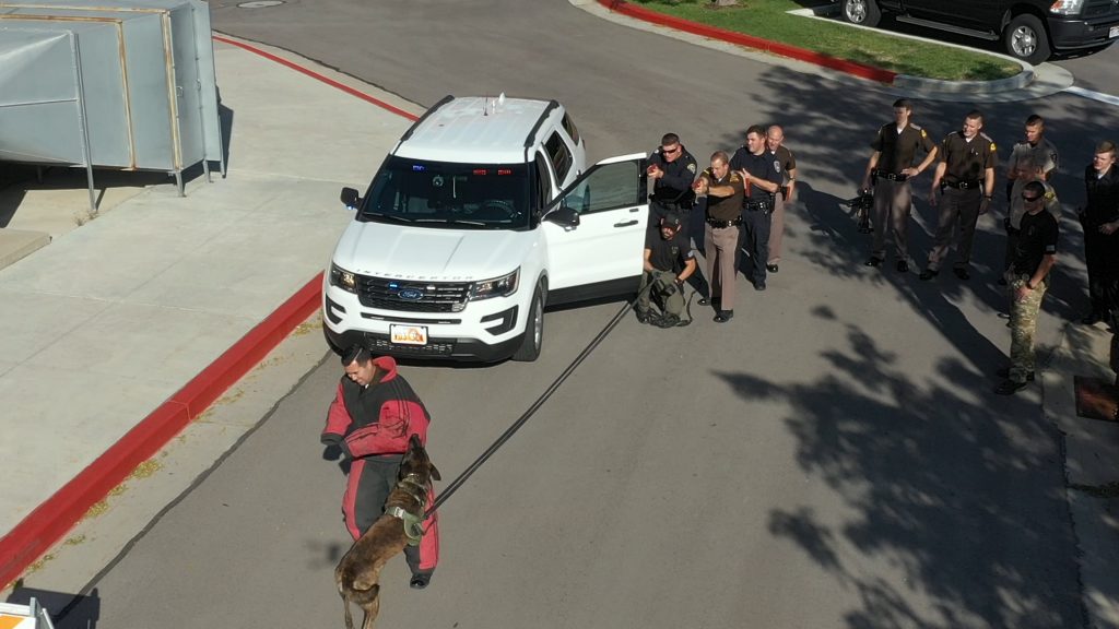 Aerial view from a drone K9 Onyx bites the arm of a cadet in a bite suit as he walks backward from a vehicle as part of a staged felony vehicle stop as cadets are positioned by the patrol vehicle with their simulated guns drawn.
