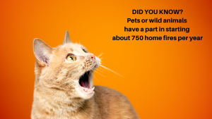 Cat looking surprised at text that reads Did you know? Pets or wild animals have a part in starting about 750 home fires per year. 